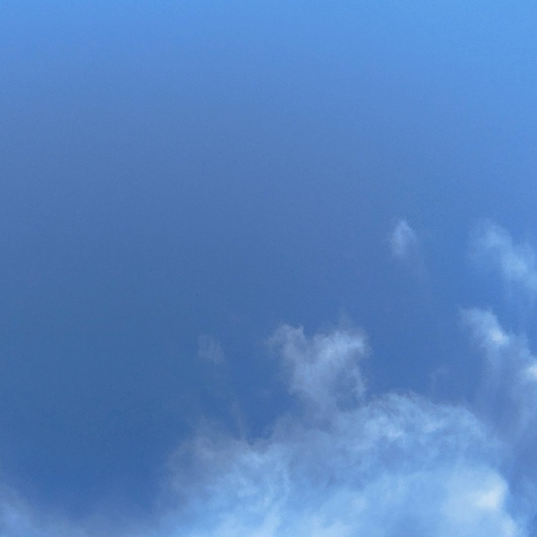 Profile photo of Moon